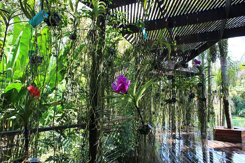 Largo das Orquídeas - Museu de Arte Contemporânea
