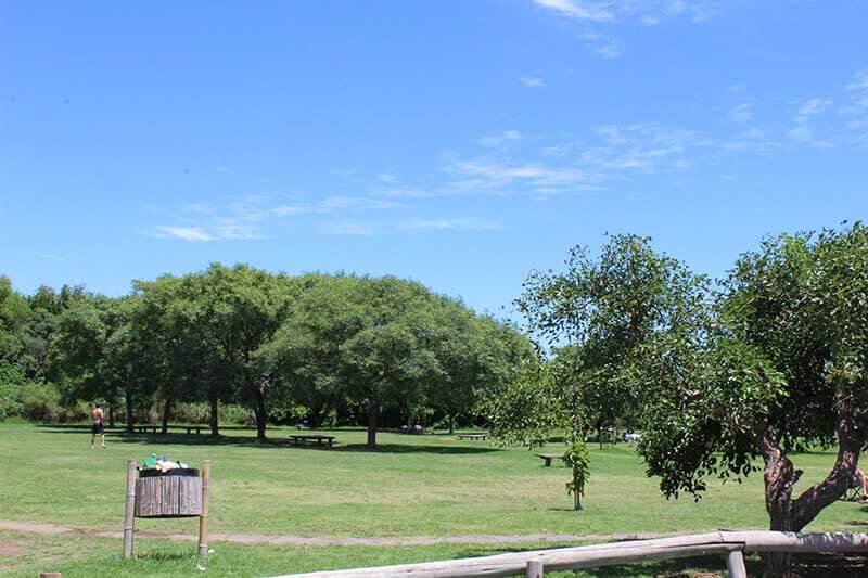 Bosque Alegre - San Isidro