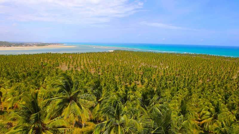 Vista Mirante do Gunga - Passeios em Alagoas
