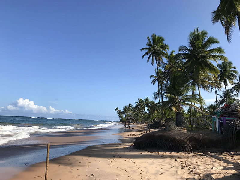 Praia de Taipu de Fora Bahia