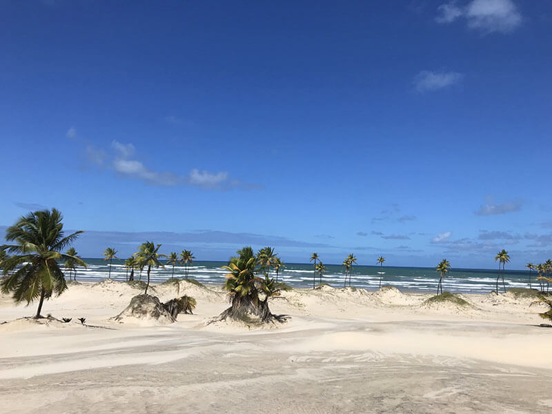 Praia de Mangue Seco - Bahia - Bate e volta de Aracaju