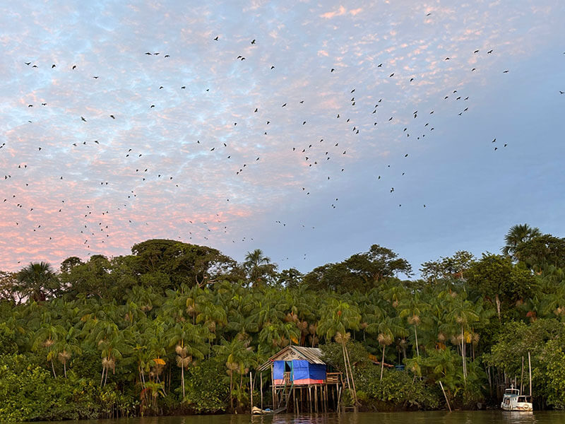 Revoada Ilha dos Papagaios - Pontos Turísticos de Belém do Pará