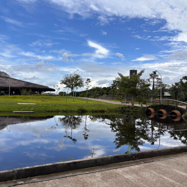 Pontos turísticos de Belém do Pará, saiba o que fazer na capital do estado